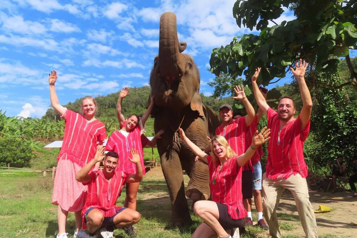 Bamboo Elephant Family Care