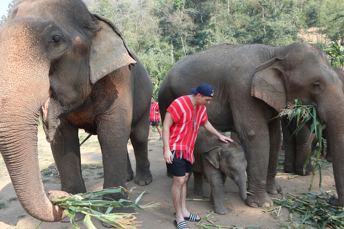 Bamboo Elephant Family Care