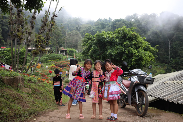 Half day Doi Suthep Temple + Hmomg village