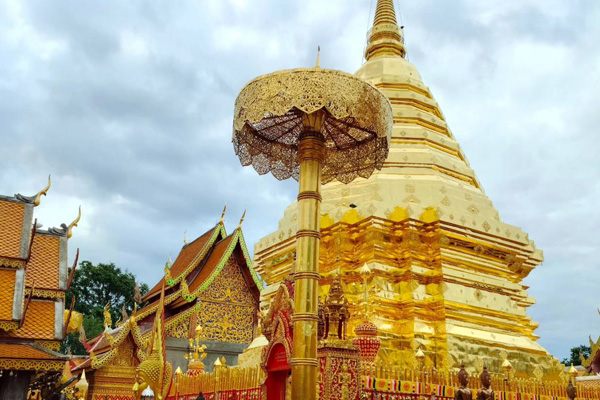 Doi suthep / Hidden temple / Sticky waterfall / Farm