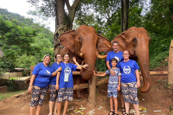 Elephant in Wild Sanctuary ChiangMai