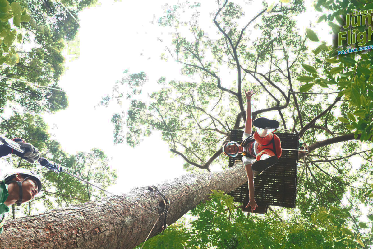 Jungle Flight Zipline