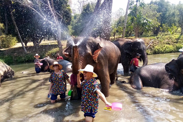 Kanta Elephant Sanctuary