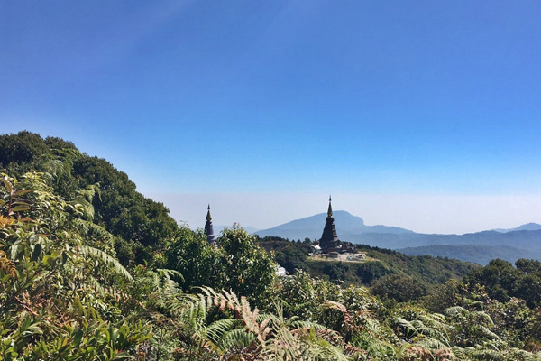 One Day Tour Doi Inthanon National Park