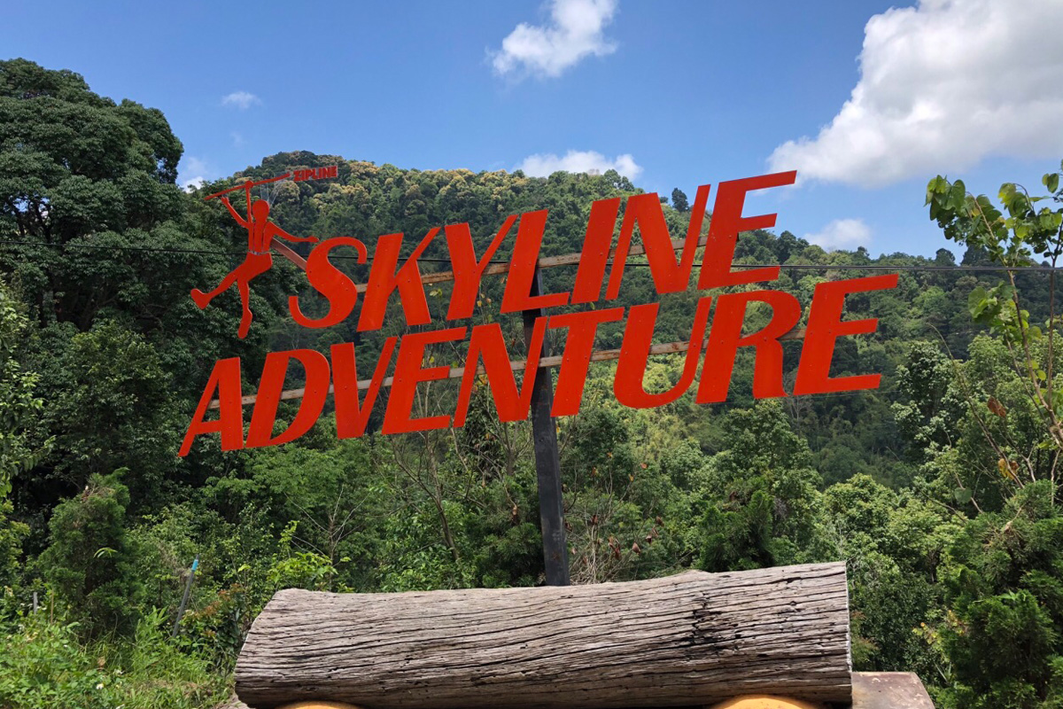 Sky Line Jungle Luge